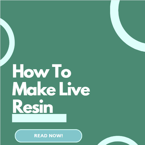 How to make live resin